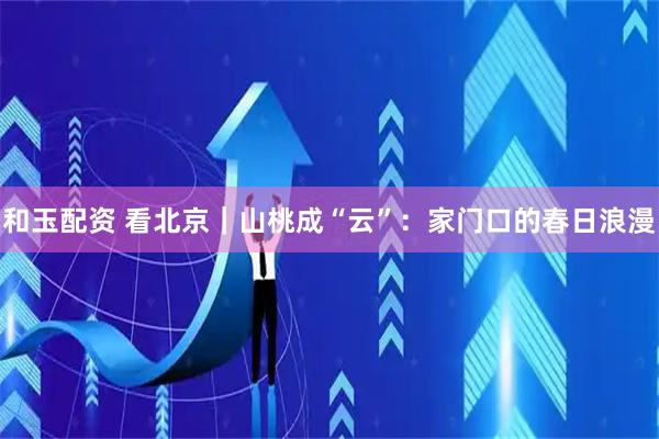 和玉配资 看北京｜山桃成“云”：家门口的春日浪漫
